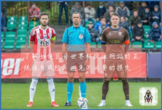 了解如何区分世界杯投注网站的正规性与风险，避免不必要的损失