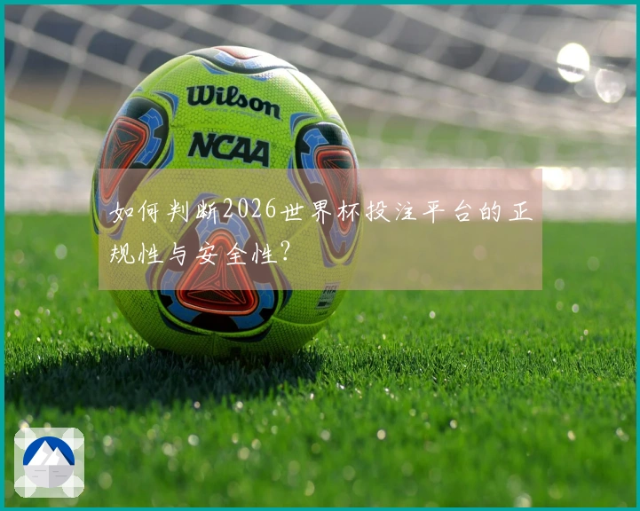 如何判断2026世界杯投注平台的正规性与安全性？