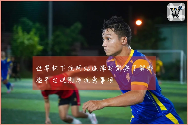 世界杯下注网站选择时需要了解哪些平台规则与注意事项